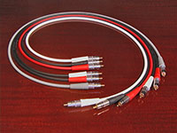 Canare 6-Channel Precision Analog Audio Cable Set for SACD and DVD Audio