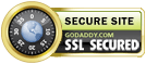 SSL Secure Site Logo